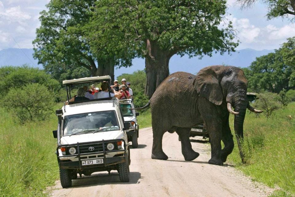 Domus Aurea Safaris Vacation rental in Tanzania