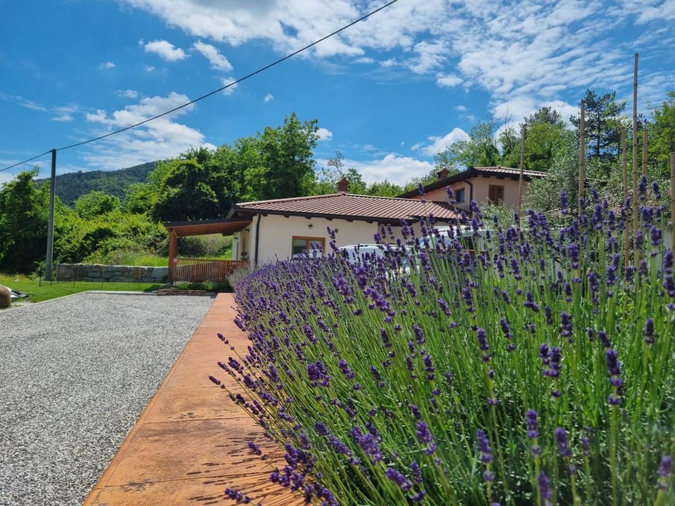 Property building, Natural landscape