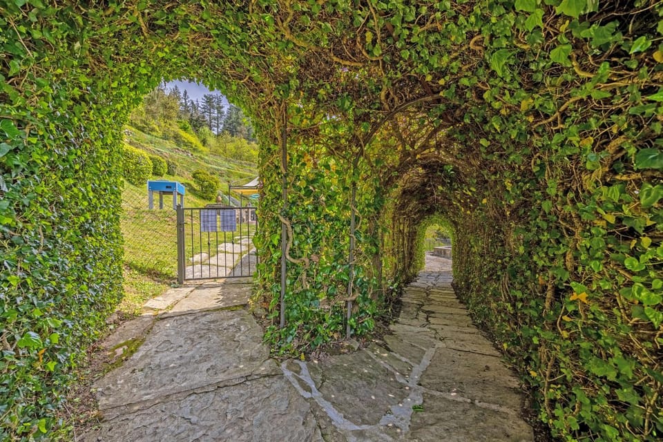Villa la Rosa Villa in Tuscany