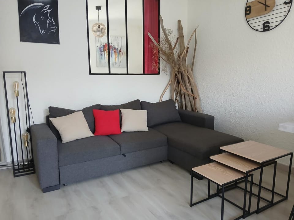 Jolie appartement refait à neuf Apartment in Saintes-Maries-de-la-Mer