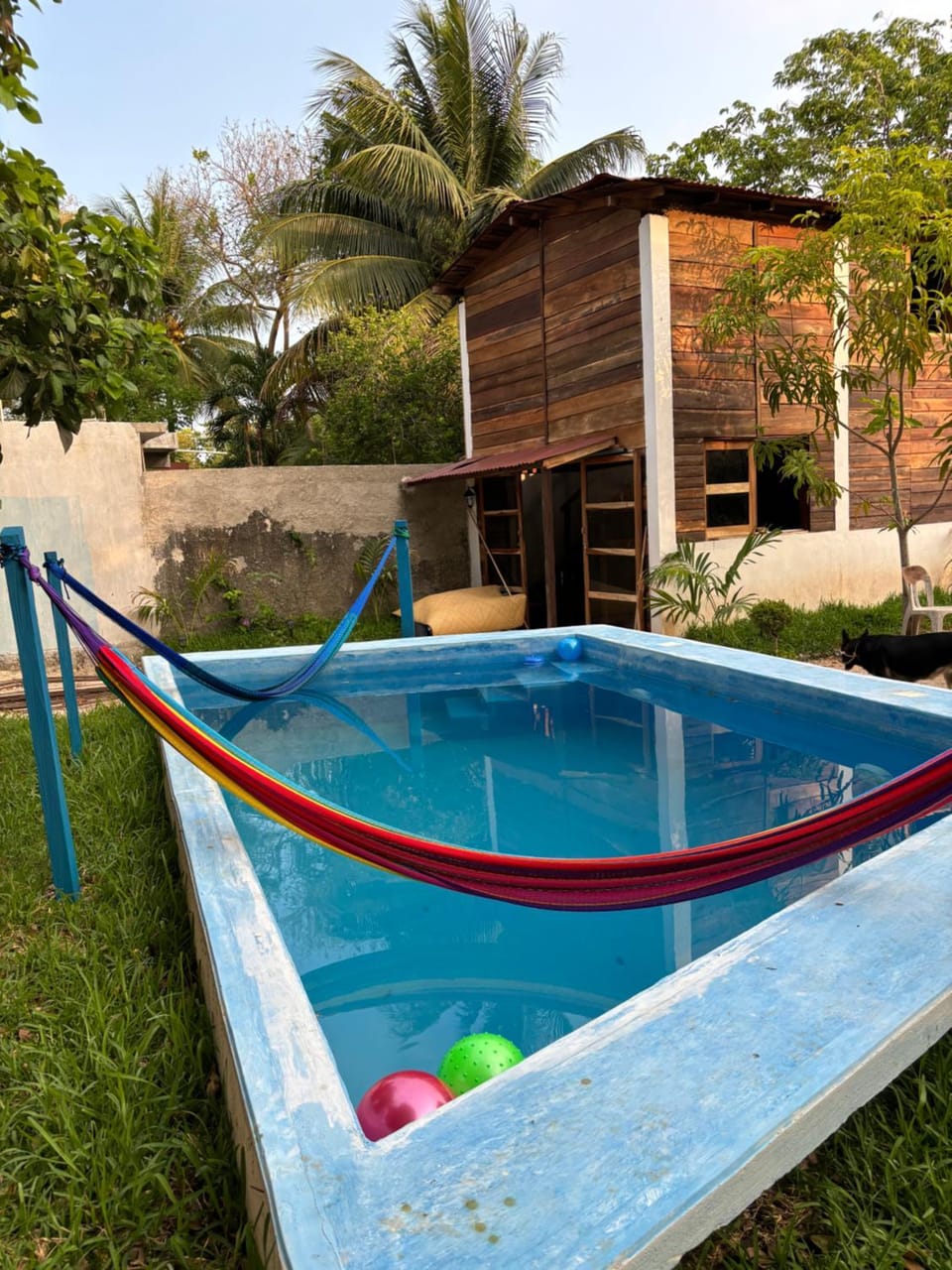 Pool view, Swimming pool