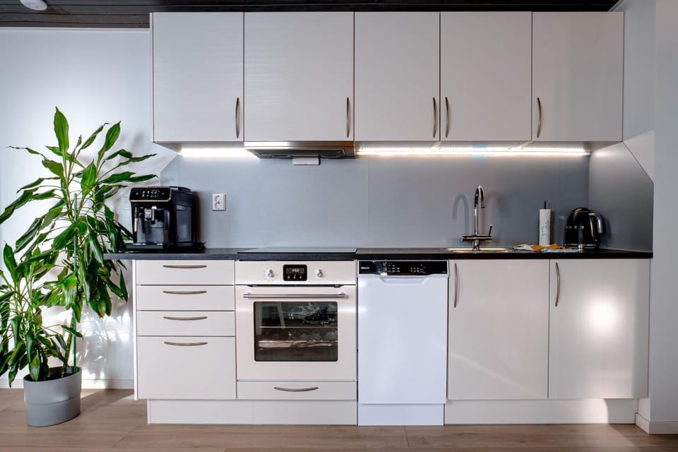 Coffee/tea facilities, Kitchen or kitchenette, dishwasher, stove, kitchen