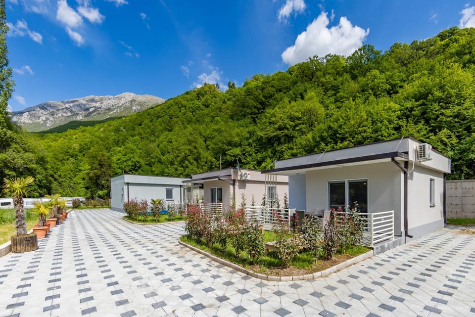 Property building, Garden, Garden view