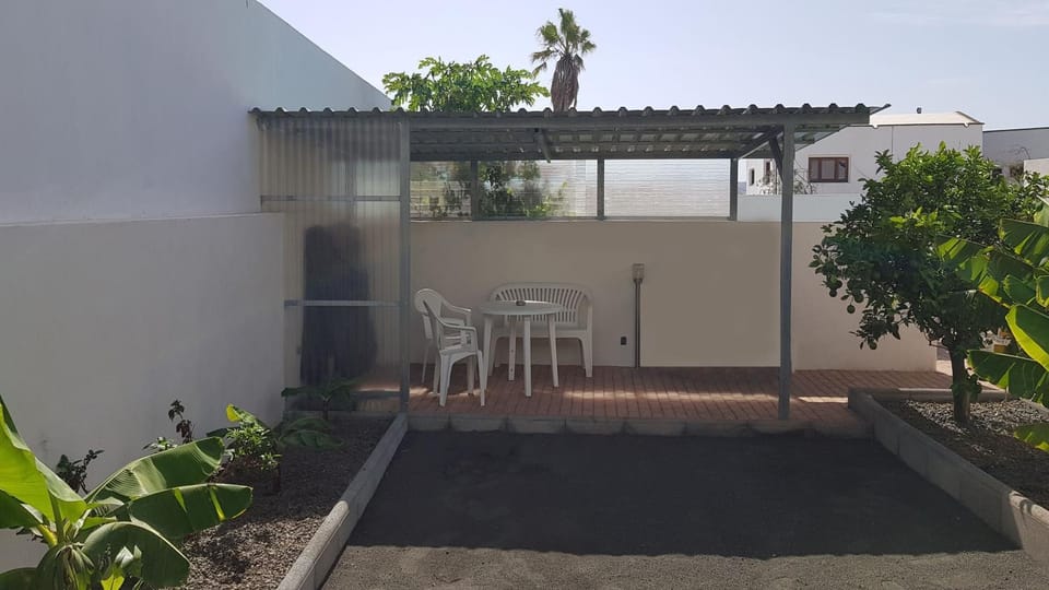 Patio, Garden, Garden view