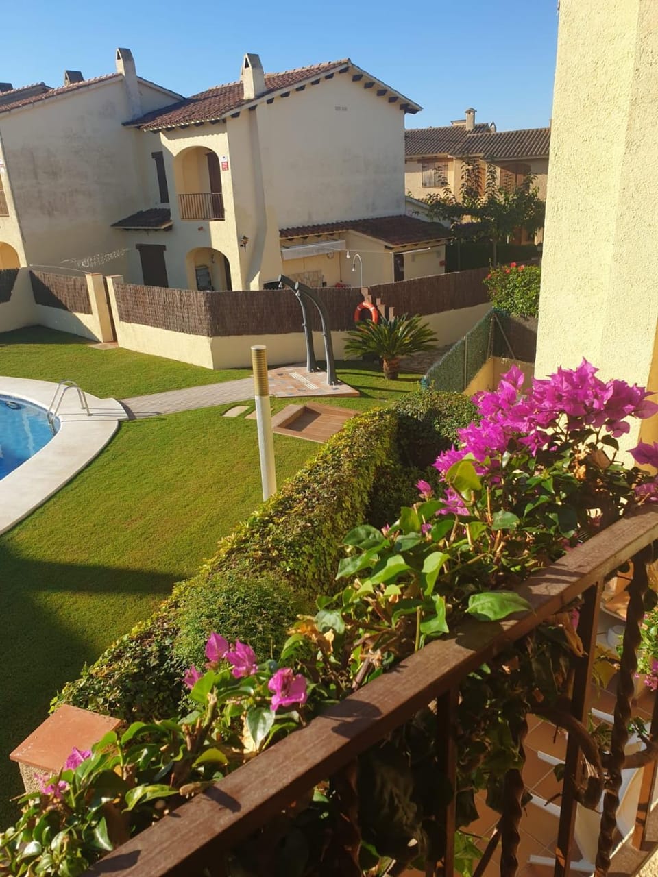 Garden view
