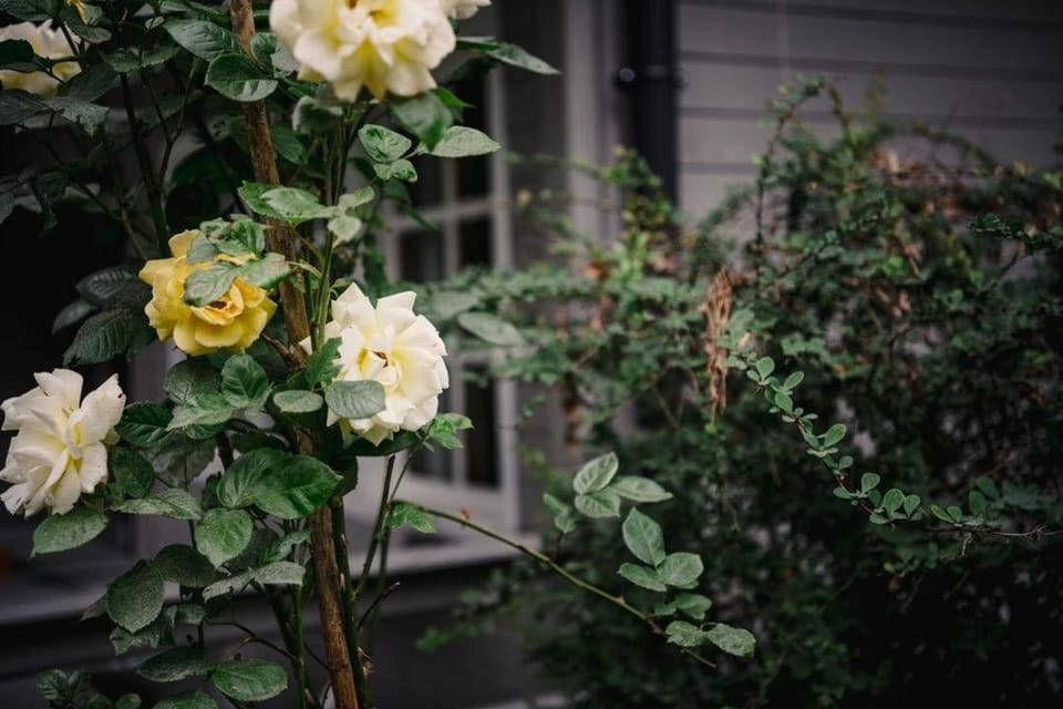 Zacisze u Ani House in Pomeranian Voivodeship