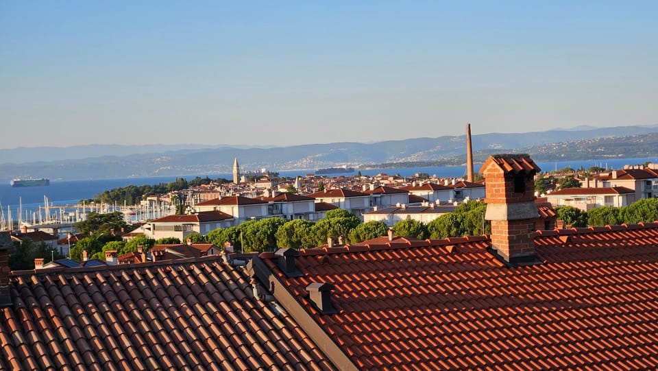 View (from property/room), City view