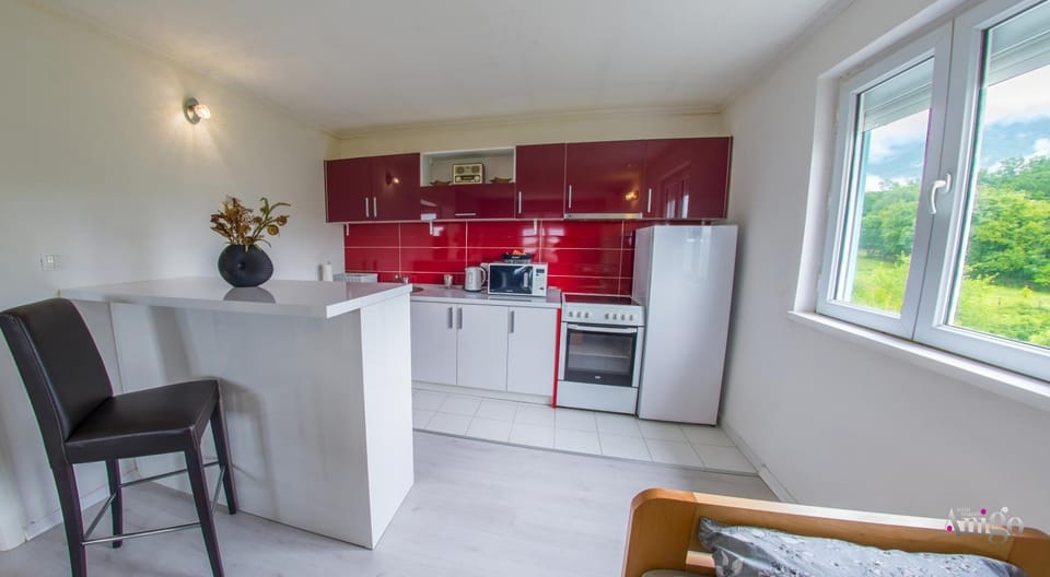 Kitchen or kitchenette, oven