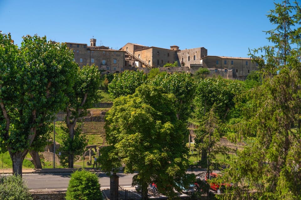 View (from property/room)