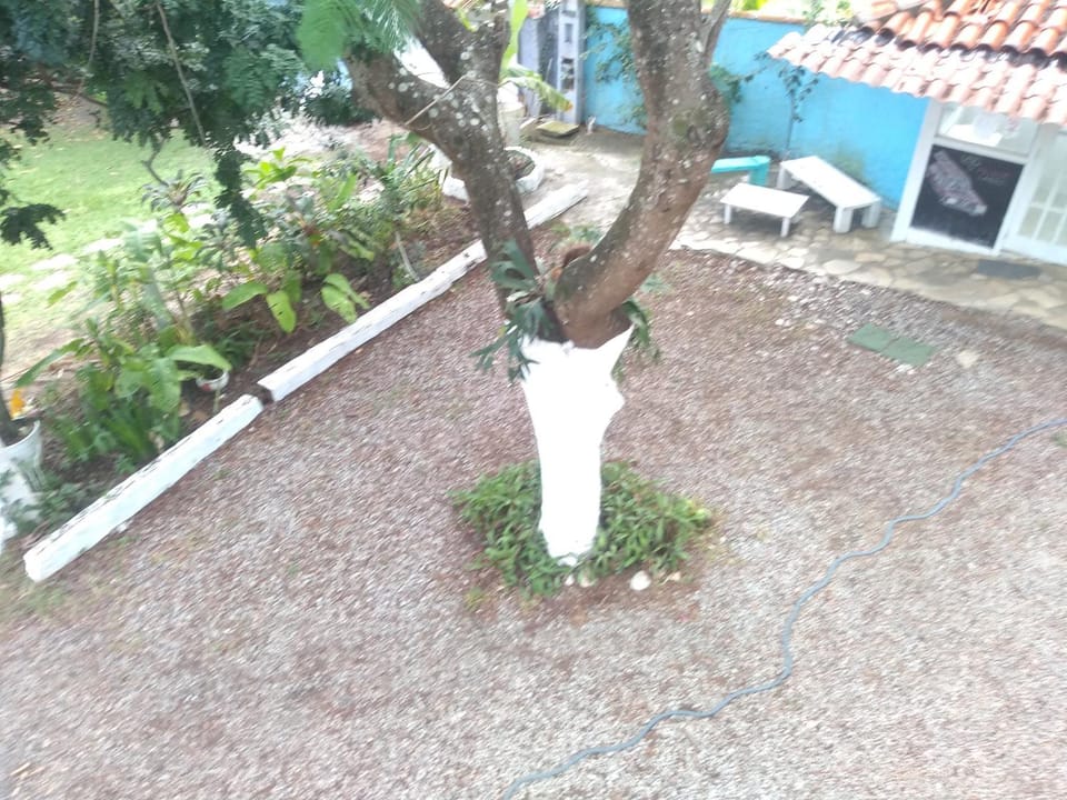 Spring, Day, Garden, Garden view