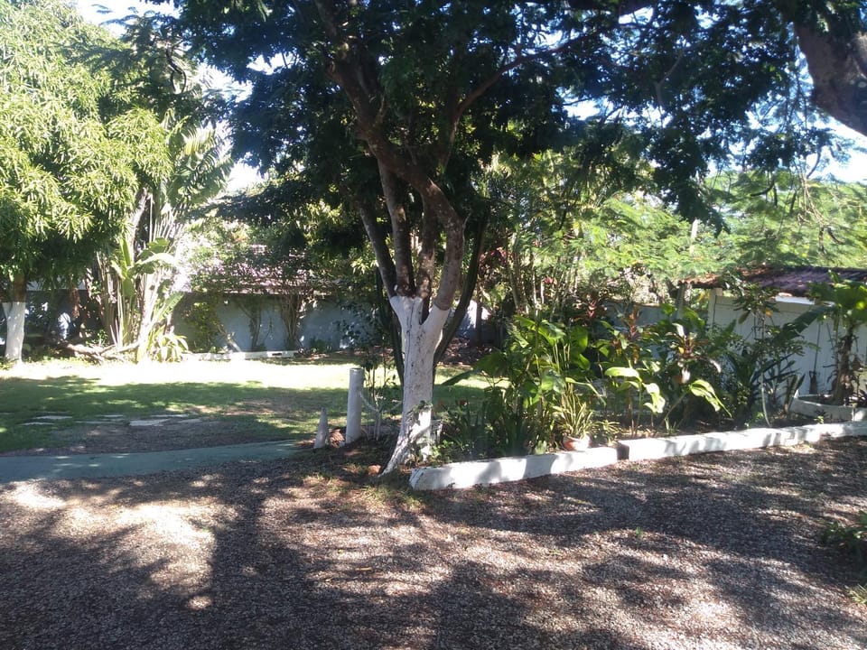 Spring, Day, Natural landscape, Garden, Garden view