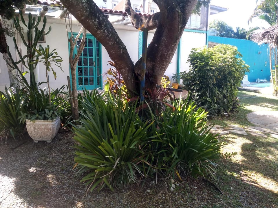 Property building, Spring, Day, Garden, Garden view