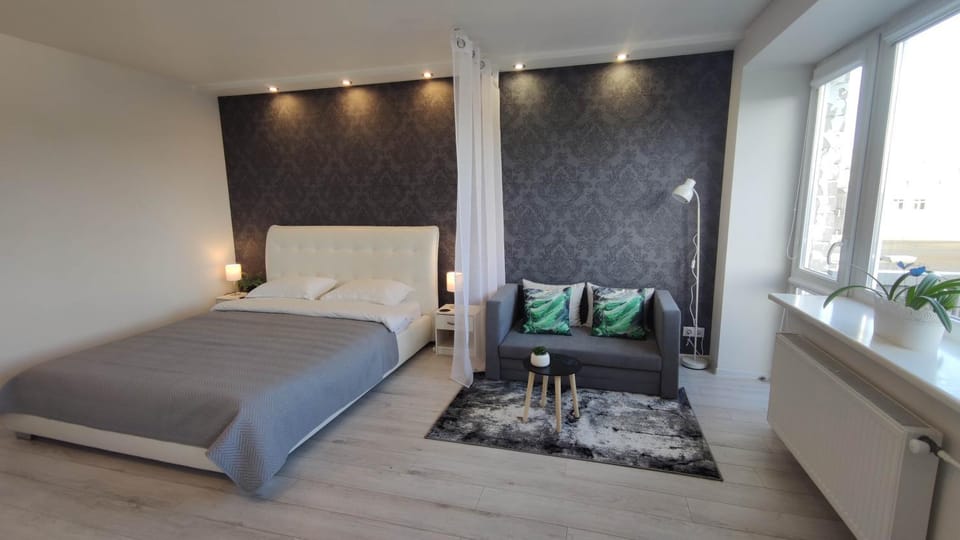 Comfort Studio Apartment Apartment in Latvia