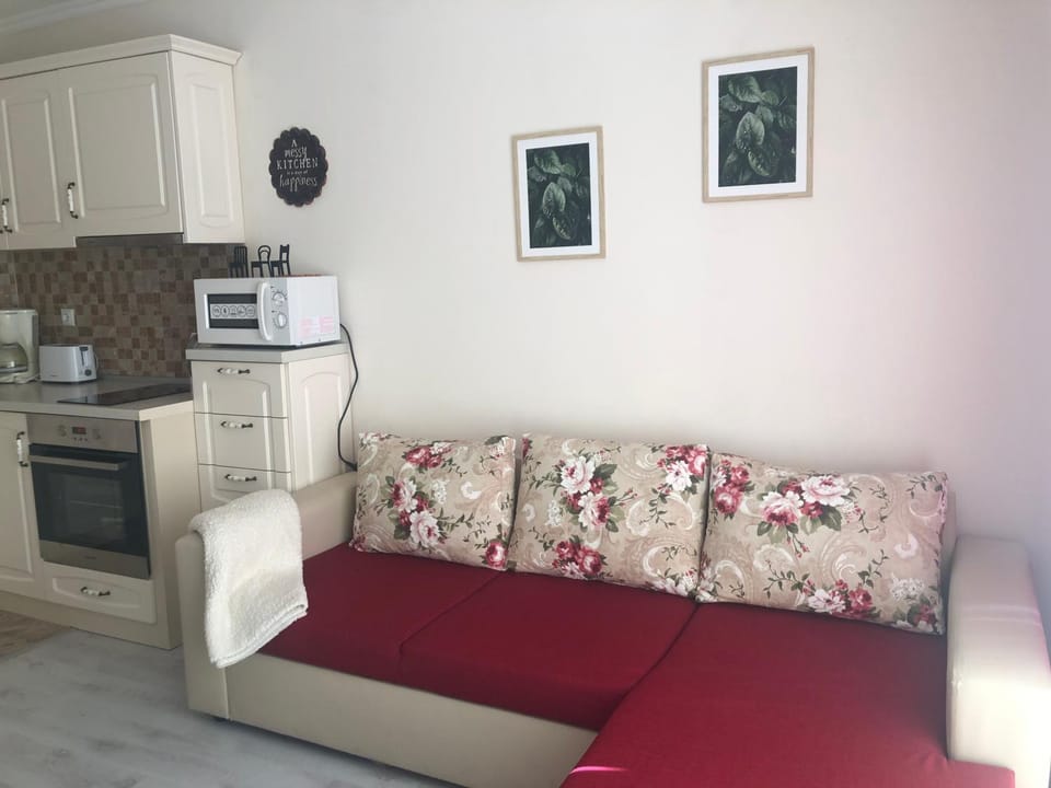 Kitchen or kitchenette, Living room, Seating area, oven, pet friendly, stove, toaster