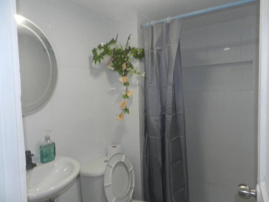 Shower, Bathroom