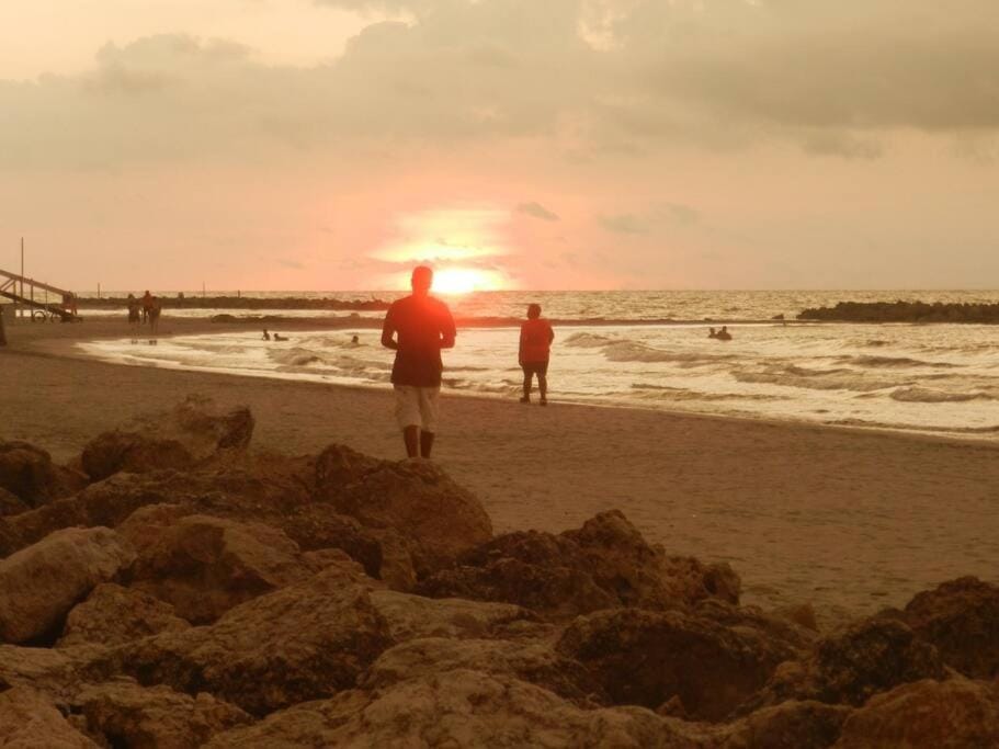 Beach, Sunset, group of guests