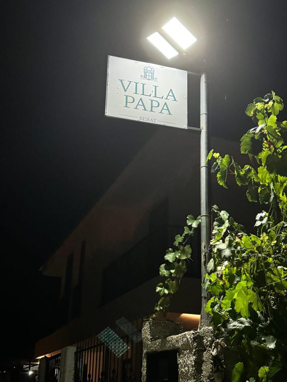 Night, Property logo or sign, Street view