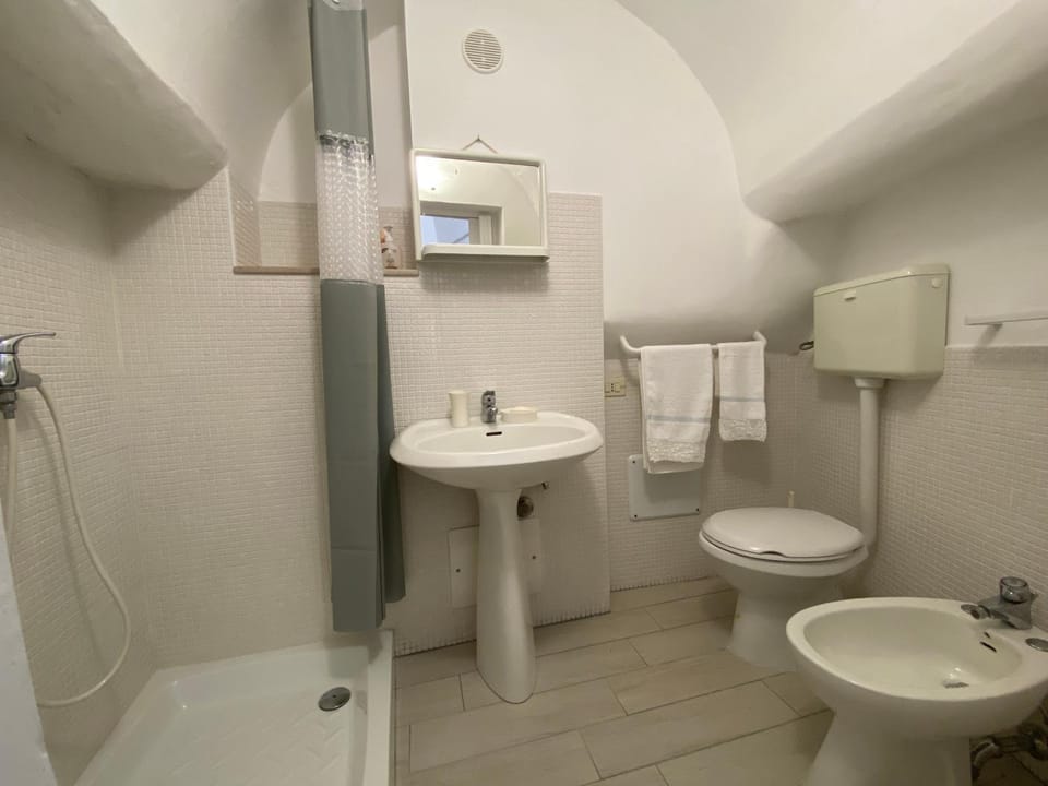 Shower, Toilet, Bathroom, bidet, hair dryier, towels