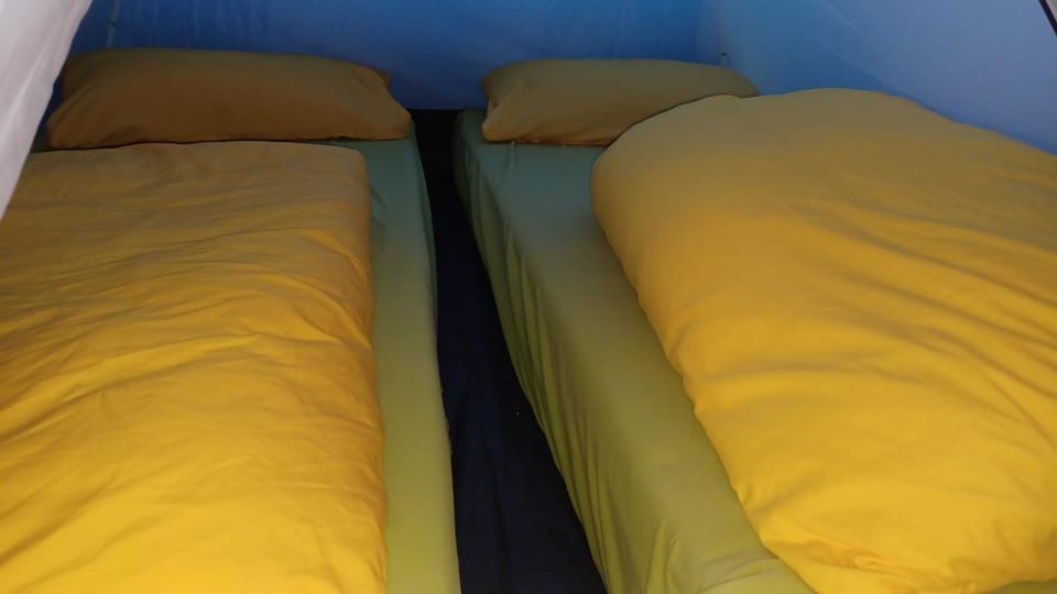 Zelten im vorhandenen Zelt im Loftcamp Luxury tent in Saxony