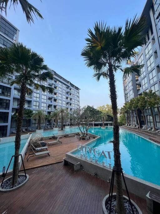 Day, Balcony/Terrace, Pool view, Swimming pool, Swimming pool, sunbed