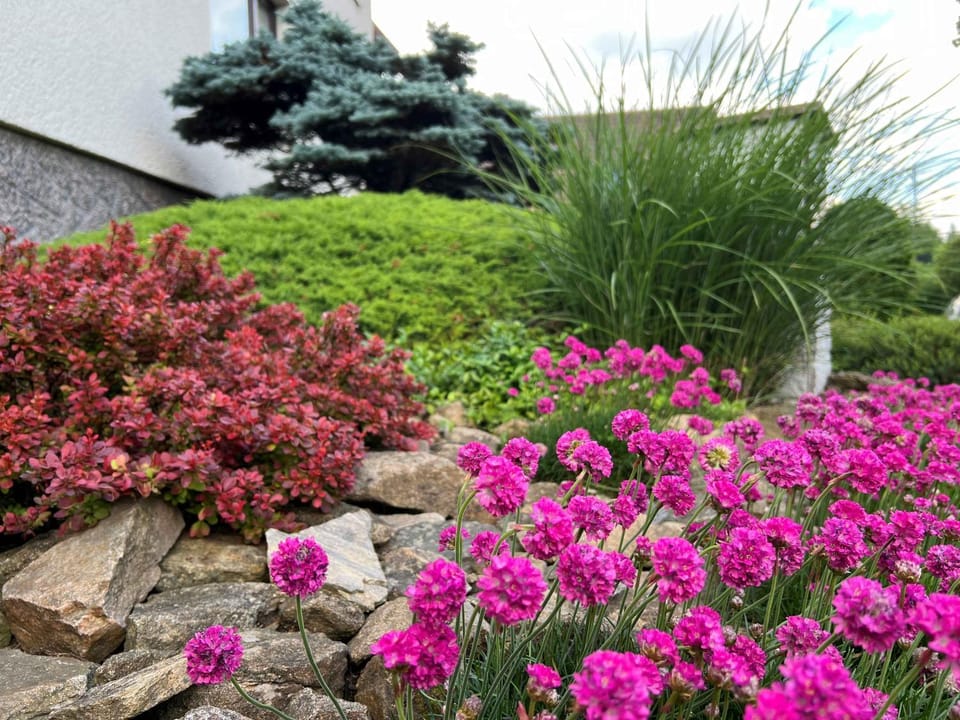 Garden view