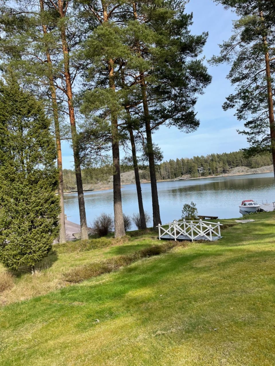 Spring, Day, Natural landscape, Garden, View (from property/room), Garden view