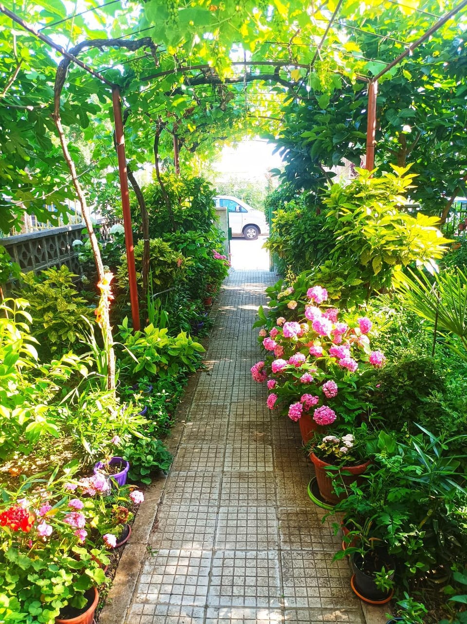 Wendy's - Summer house Bed and Breakfast in Burgas Province
