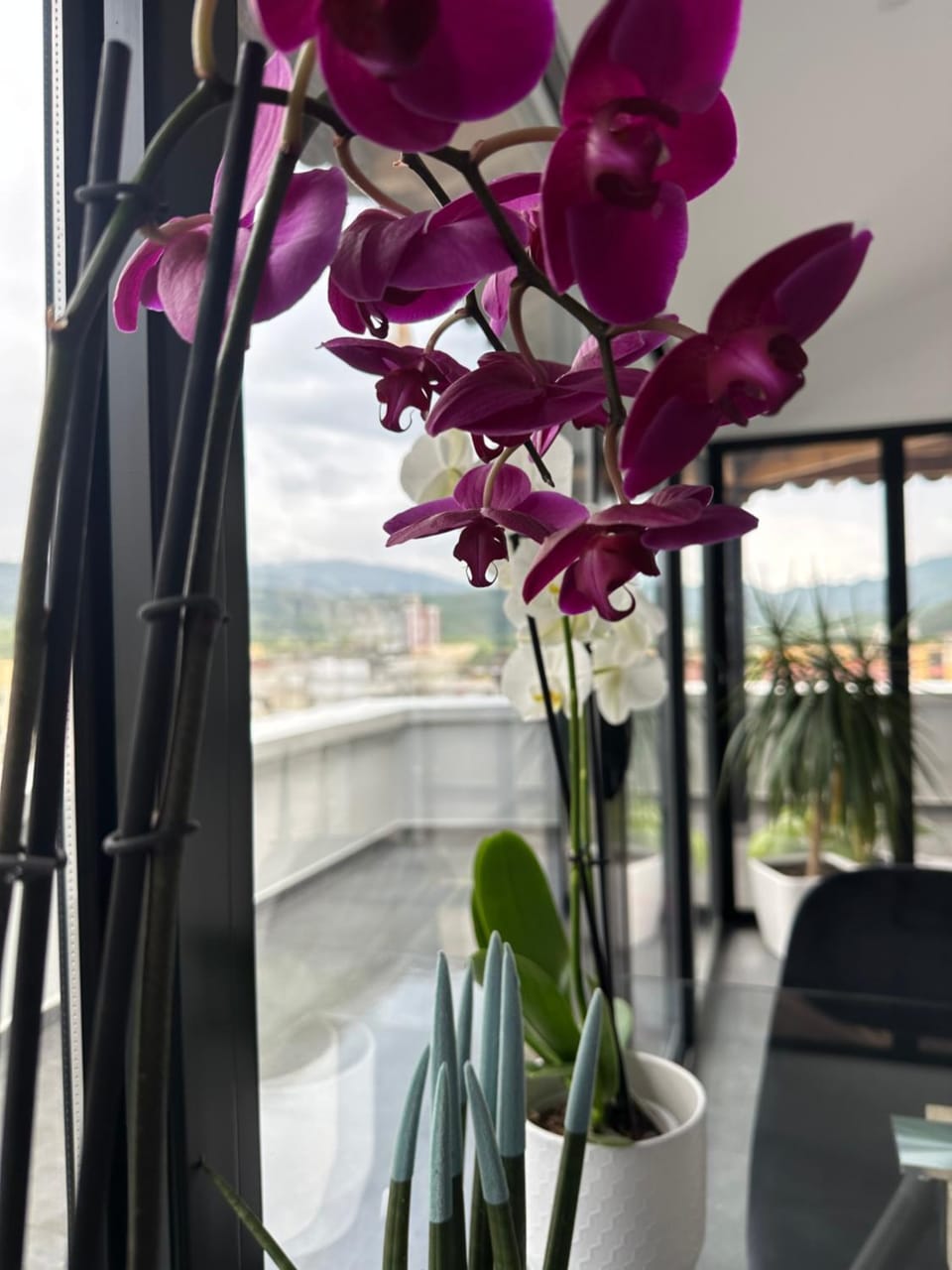 My Sky Përmet Apartment in North Macedonia