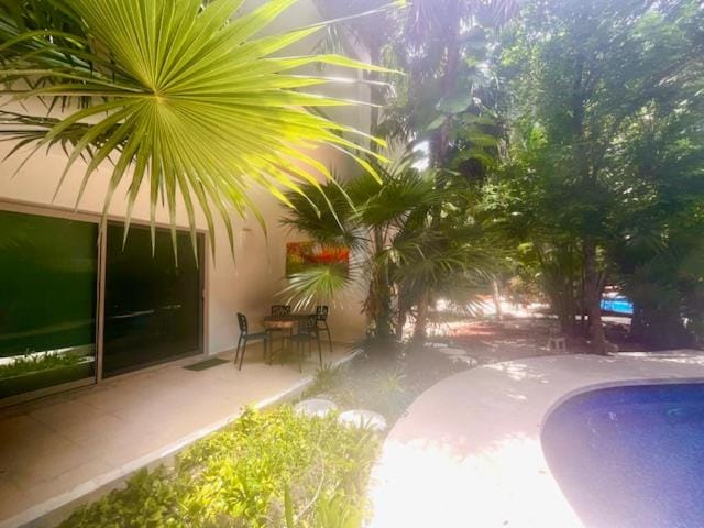 Garden, Garden, Garden view, Pool view, Swimming pool