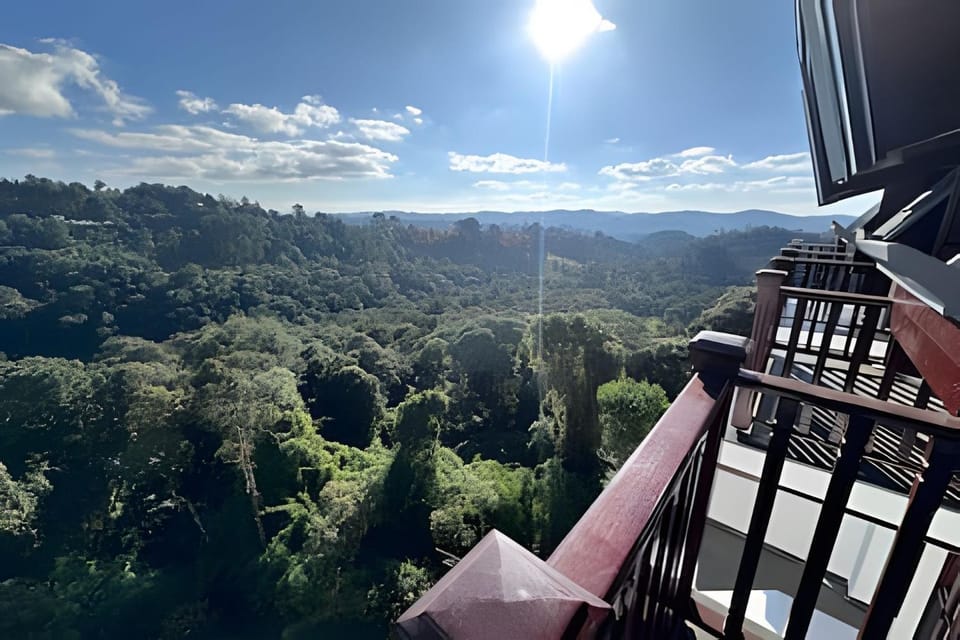 Mountain view