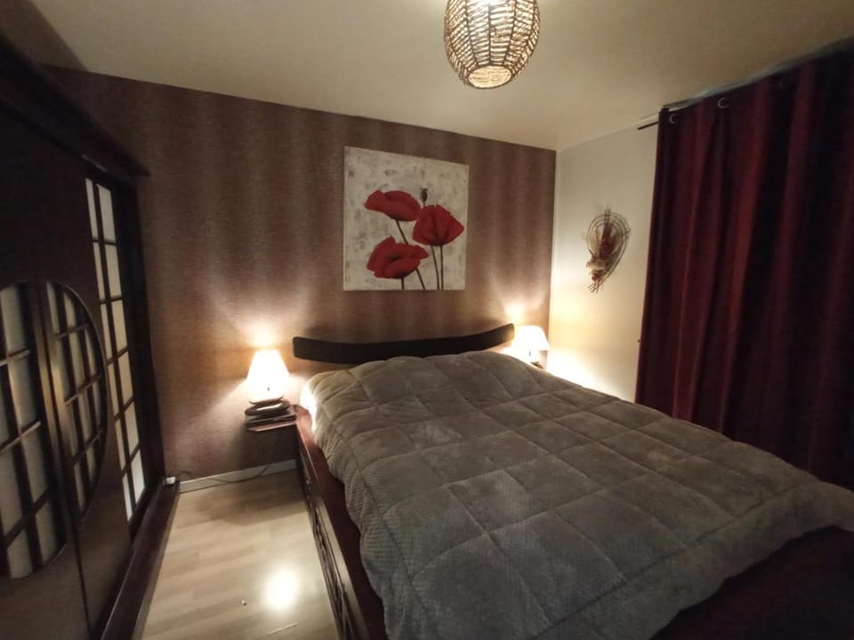 Appartement cosy à 30 mn de Paris Apartment in Île-de-France