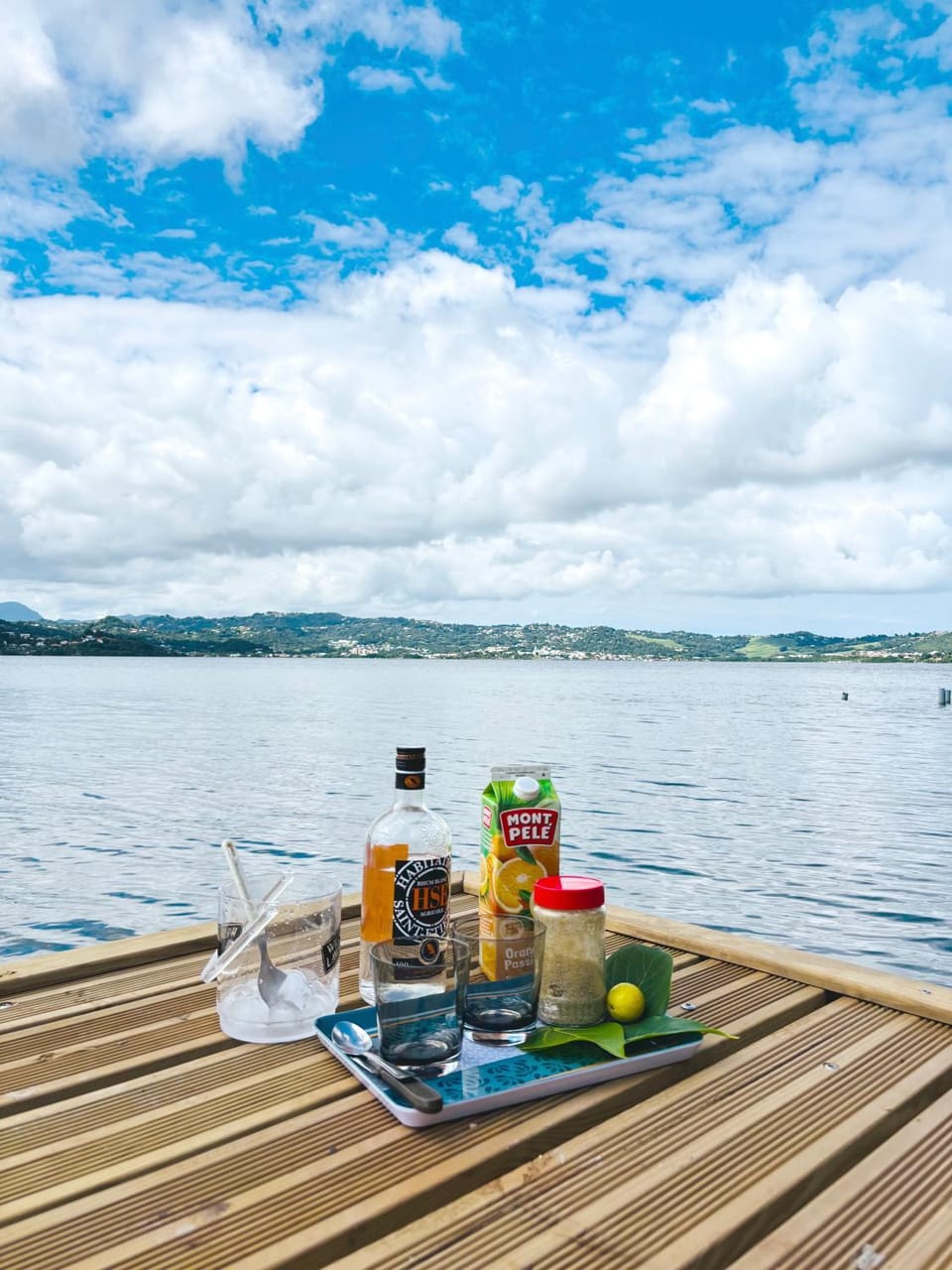 Villa Libel'ulle House in Martinique