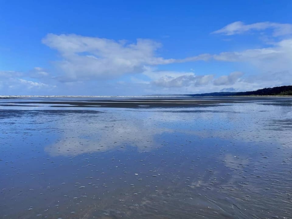 Tide Pool Town Home, Entire House, Amazing Views! House in Moclips