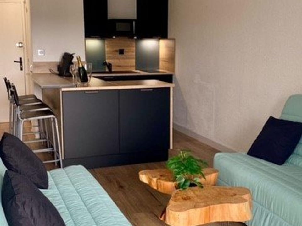 Studio Rénové et Climatisé avec Terrasse, Parking Privé et Options Confort à Marseillan - FR-1-387-209 Apartment in Marseillan