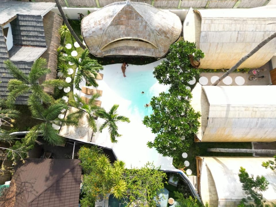 Day, Garden, Garden view, Pool view, Swimming pool