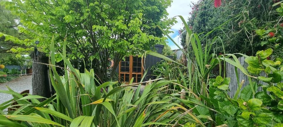Garden view