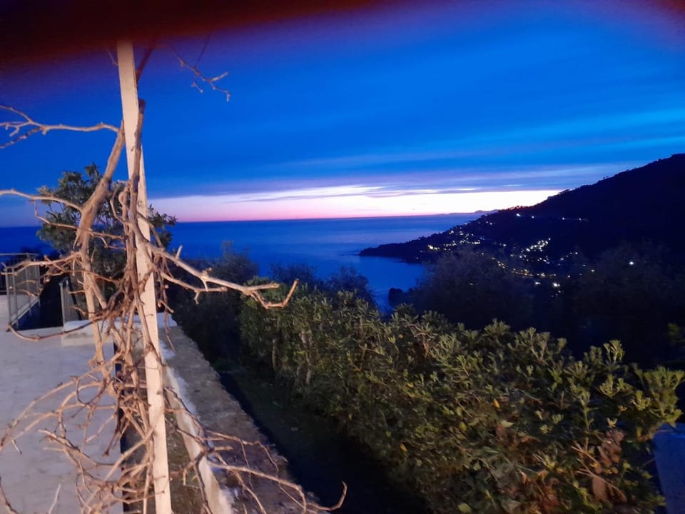 Garden, Sea view