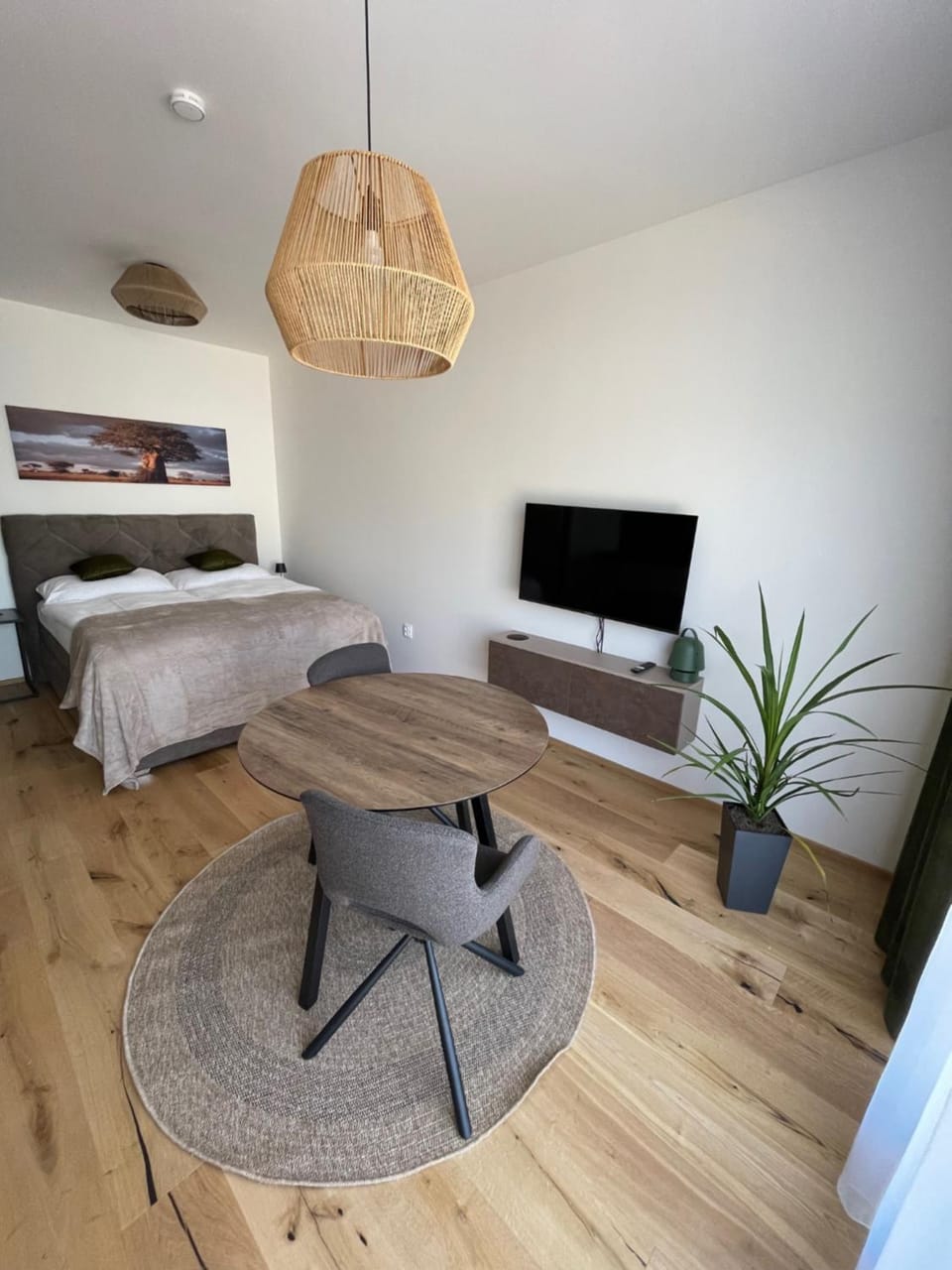 Bed, TV and multimedia, Living room, Photo of the whole room, Seating area, Bedroom