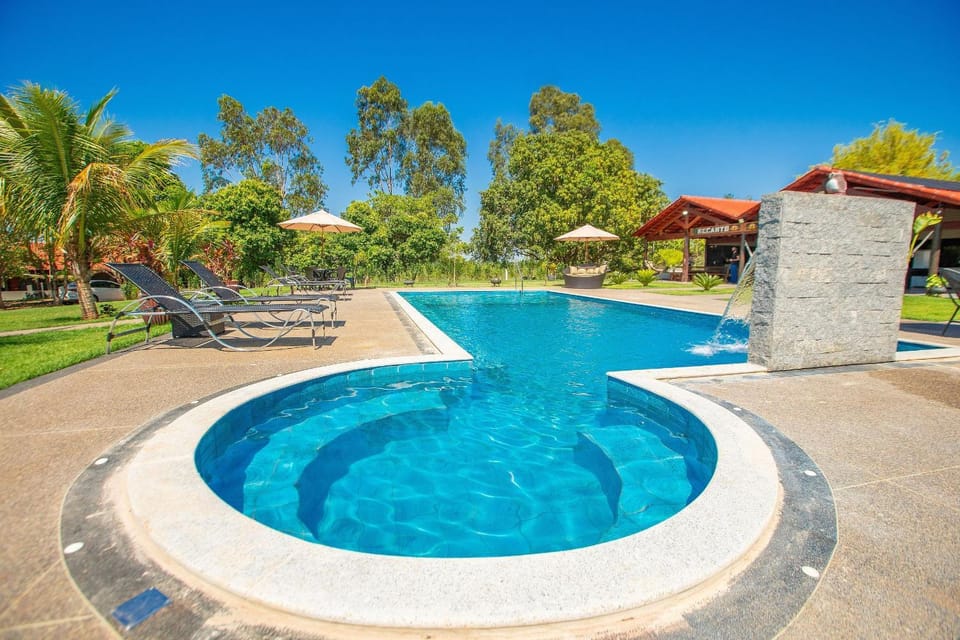 Day, Natural landscape, Garden, Garden view, Pool view, Swimming pool, sunbed