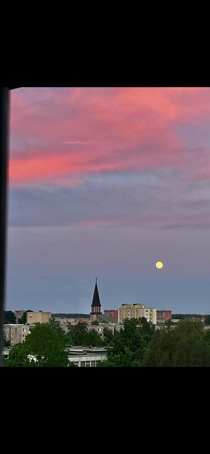 GIN Apartment No 82 SELF CHECK-IN Apartment in Lithuania