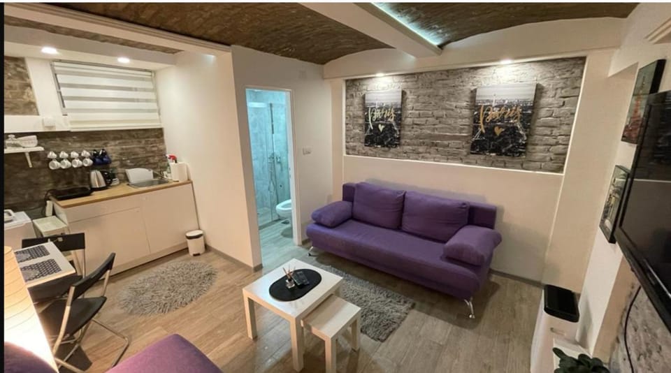 TV and multimedia, Kitchen or kitchenette, Living room, Seating area, pet friendly, stove