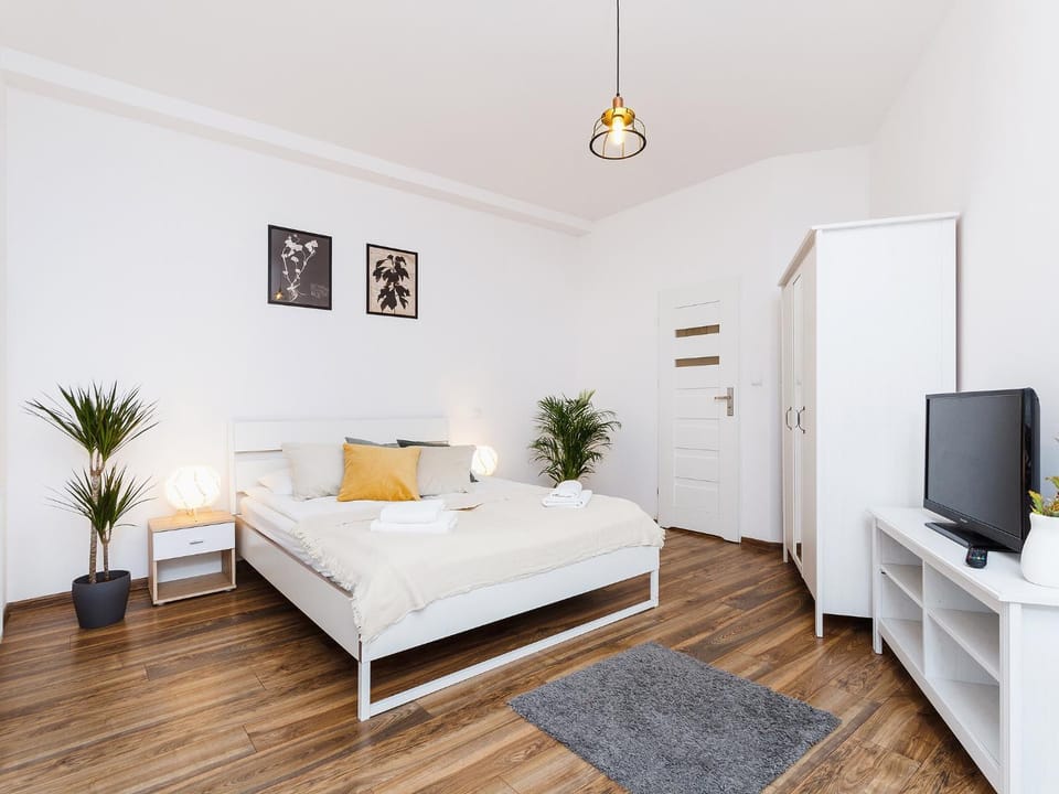 Bed, TV and multimedia, Photo of the whole room