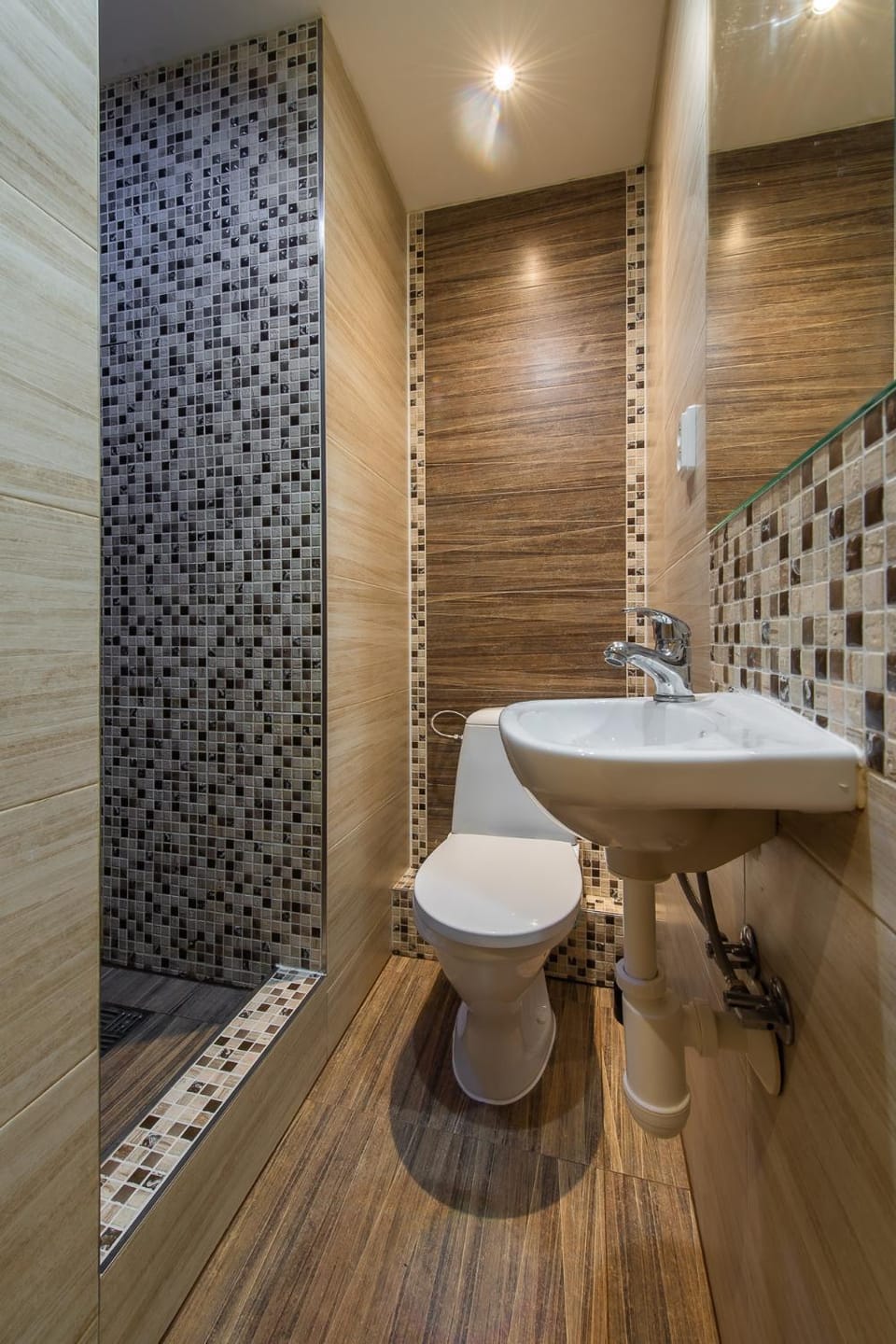 Shower, Toilet, Bathroom