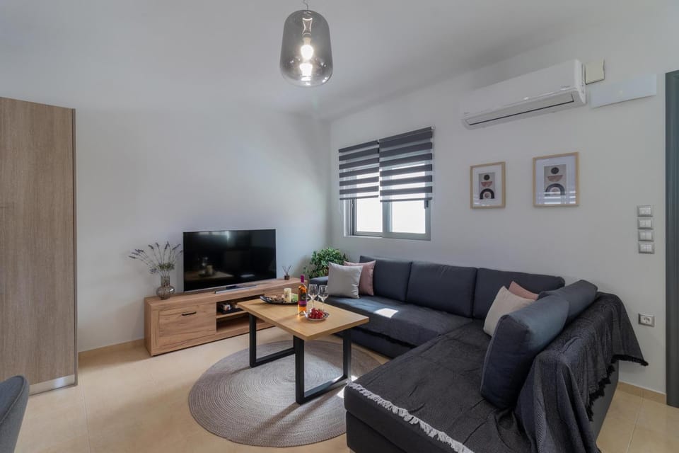 Communal lounge/ TV room, TV and multimedia, Living room, Seating area, air conditioner