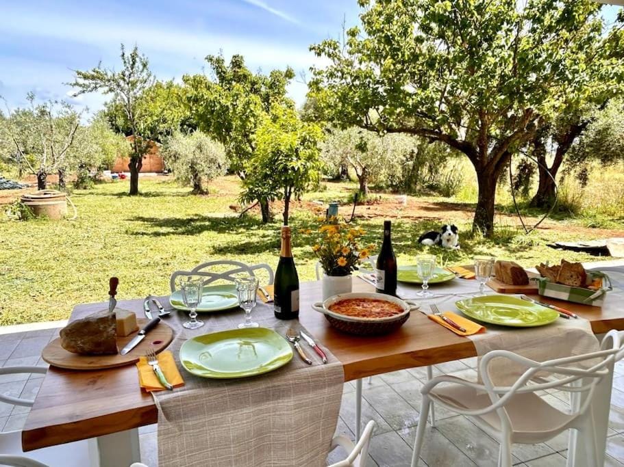 Patio, Garden, Food