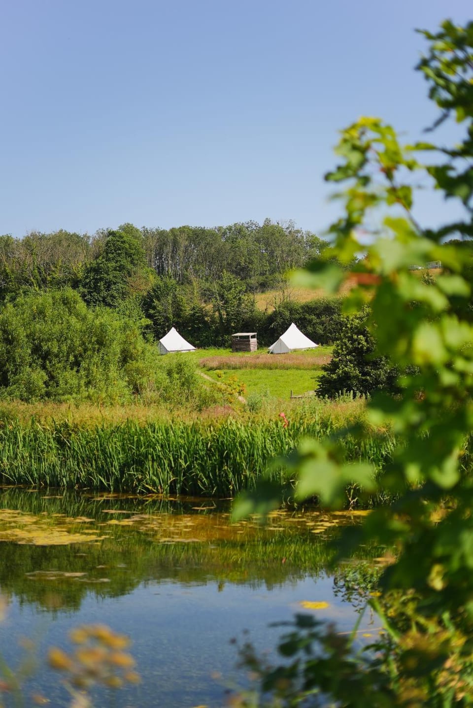 Devon Belltents - Beesands Luxury tent in England