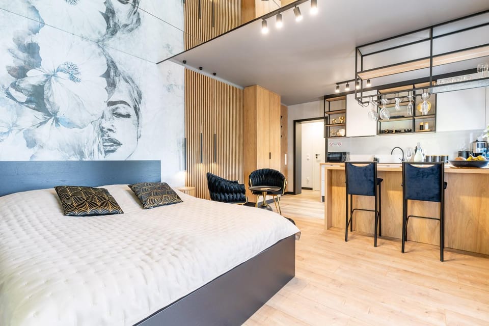 Apartament Premium przy Zamku Apartment in Poland