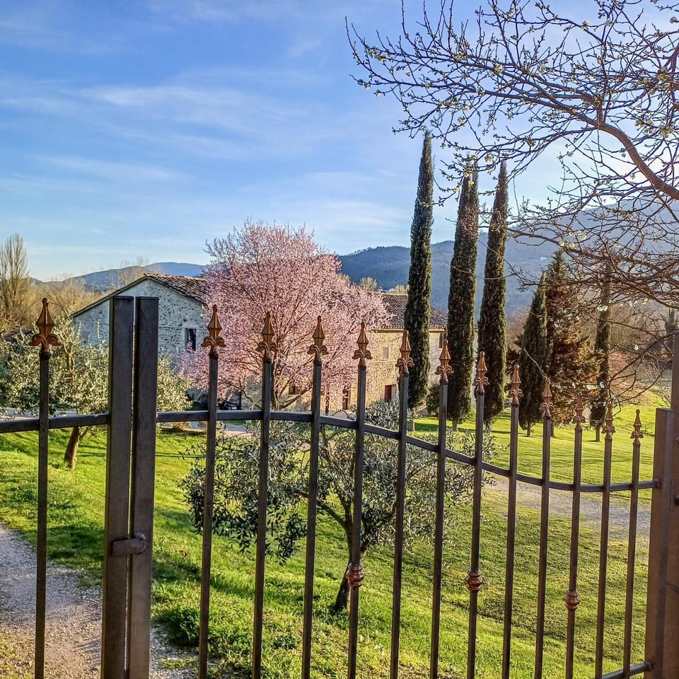 Spring