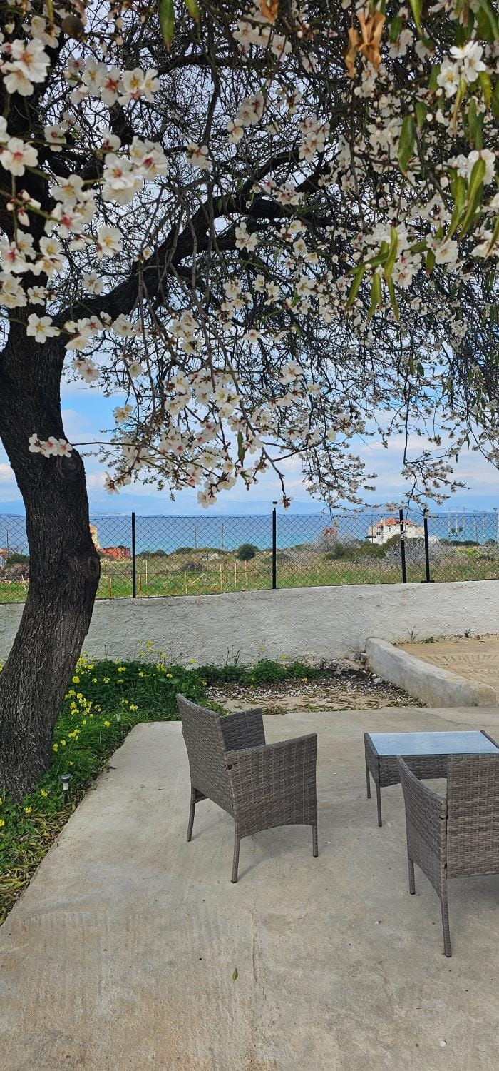 Spring, Day, Natural landscape, Garden, Garden view, Sea view
