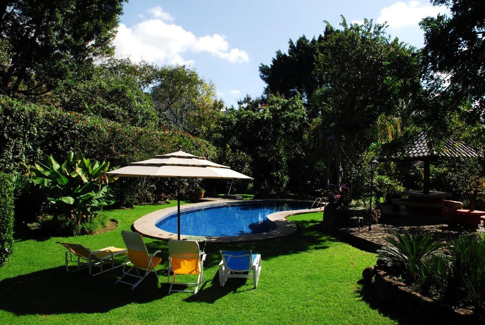 Summer, Garden, Swimming pool